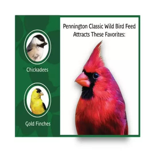 Pennington Classic Wild Bird Feed and Seed, 20 lb. Bag, Dry, 1 Pack