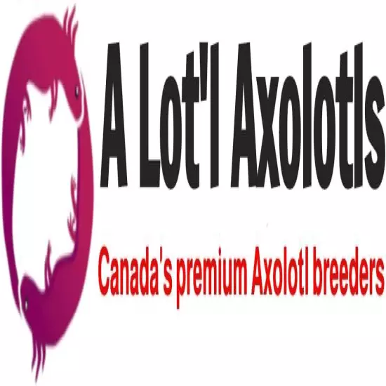 A Lot'l Axolotls - Axolotl Pellets - Carnivore Food - Sinking Fish Food - 250 g 