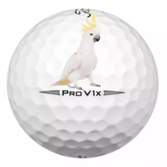 Titleist Pro V1x 2020 White 36 5A Pro V1x AAAAA 2020 Used Washed Titleist V1x