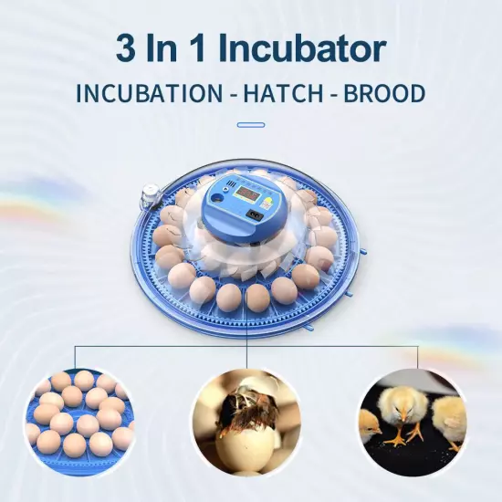 80 Egg Fully Automatic Incubator Hatching Machine Chicken Eggs Brooder Reservoir