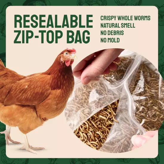 Premium Organic Non-GMO Dried Mealworms for Chickens, Wild Birds for Laying Hens