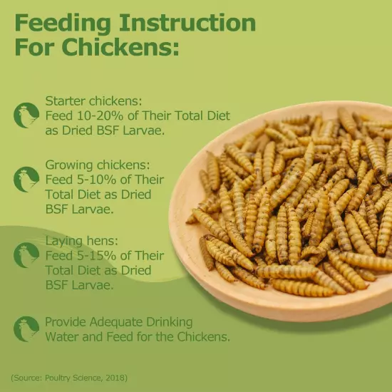 5LB Dried Black Soldier Fly Larvae, Non-GMO & Nutrient-Packed Chicken Feed