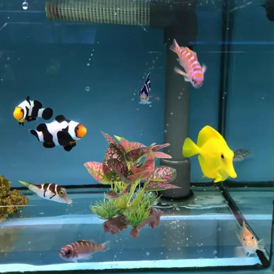 Artificial Water Plants Aquarium Silk Plastic Fish Tank Decoration^ X2S0