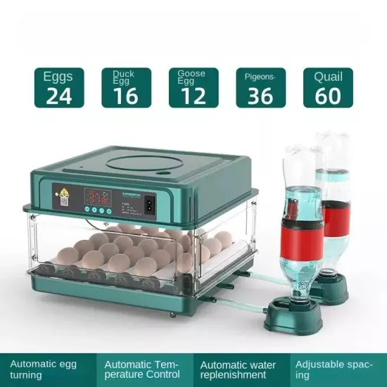 10 Egg Incubator (for Chickens, Birds and Quail) Automatic Incubation Equipment