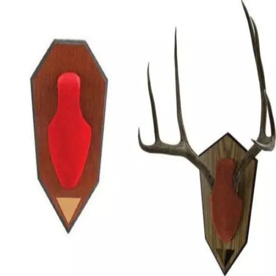 Allen Antler Mounting Kit with Skull Cover & Engraveable Plaque Red 