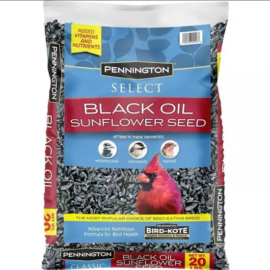 Pennington Select Black Oil Sunflower Seed Dry Wild Bird Feed, 40 lb. Bag 1 Pack