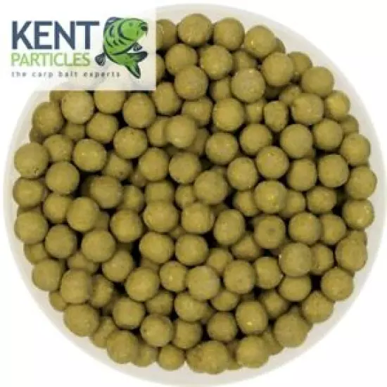 Kent Particles Scopex Squid Boilies 1KG-2.5KG-5KG-10KG-20KG FREE P&P Carp Bait