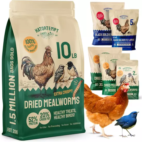 Bulk Dried Mealworms 10 lbs – Premium Organic Non-GMO Dried Mealworms for – High