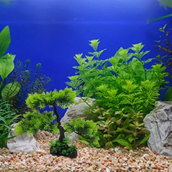 1* Artificial Fish Tank Simulation Water Plan U8R5