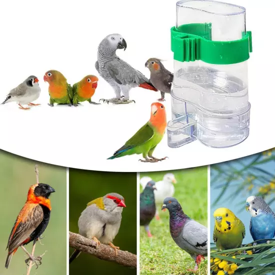 Cage Drinker Bird Water Dispenser Bottle Auto Feeder For Pet]Budgie-Finch-Parrot