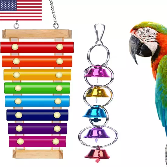 Large Parrot Toy Bird Xylophone Toy Bird Cage Bell Accessories Music Musical Tr