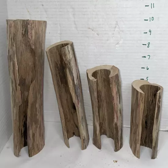 Driftwood 4 Piece Set Taxidermy Beach Lake Mountain House Wedding Reception