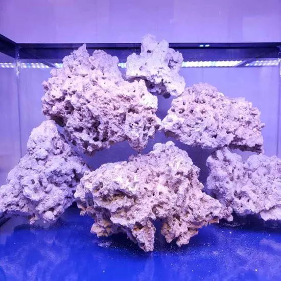 Premium ARK Dry Reef Rock Aragonite Base, Porous Aquariums Live FREE SHIPPING!!!