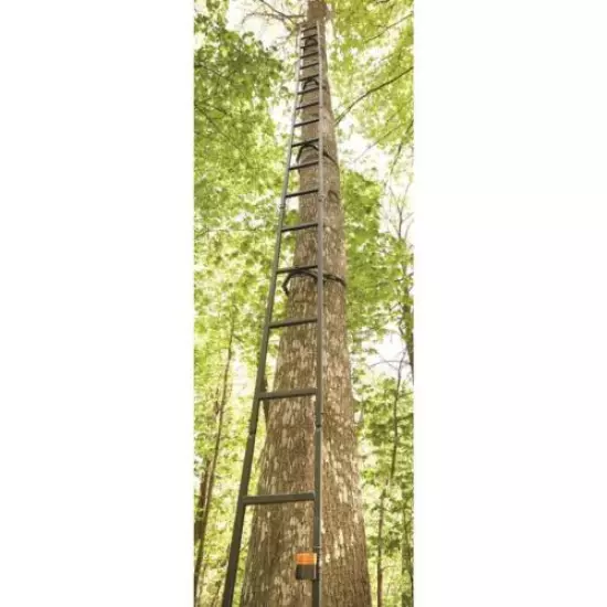 Tree Stand Hunting Ladder 20' Heavy Duty Tube Steel 8" wide Step With Straps