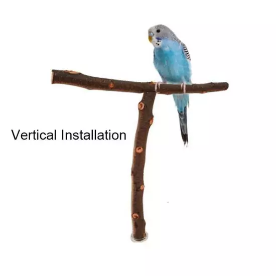 Natural Wood Pet Parrot Fork Tree Branch Stand Rack Squirrel Bird Toys Stick