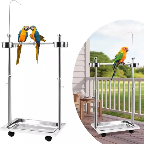 Bird Stand Metal 21.65 X 15.35 27.95 Parrot Adjustable Height Perch Stainless