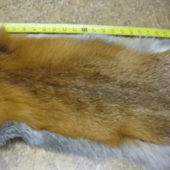 Tanned Red Fox Hide Coats Taxidermy #00004265 Row A-8