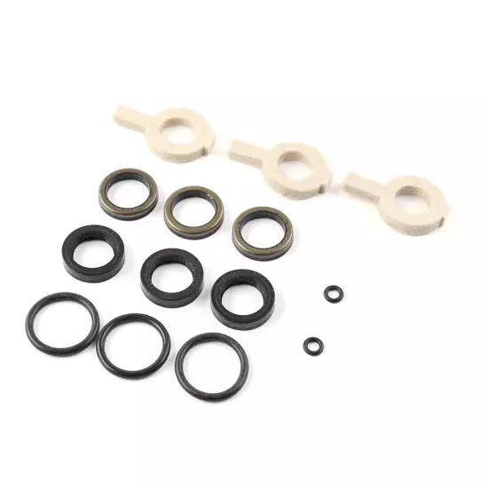 30623 Seal Kit Replacement For Cat Pump Model 30 31 34 35 310 340 350 310B 310S