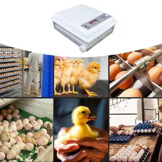 Egg Incubator 64 Eggs Digital Automatic Hatcher for Hatching Chicken Farm