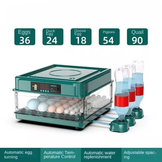 10 Egg Incubator (for Chickens, Birds and Quail) Automatic Incubation Equipment