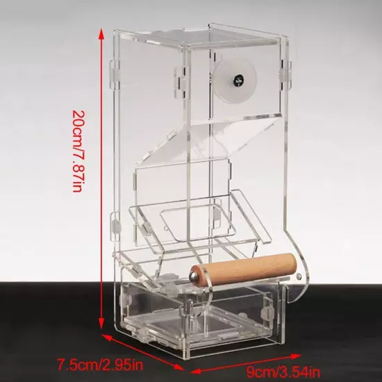 Bird Feeder Anti-scattering Food Box Parrot Automatic Feeder