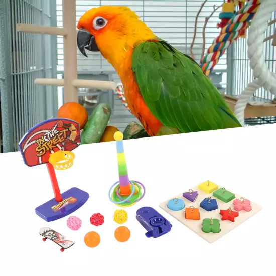 Parrot Bird Toys Set Colorful Basketball Skateboard Relieve Anxiety Puzzle Toy