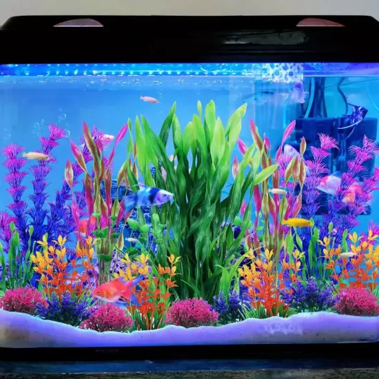 Fish Tank Decorations Plants 20pcs Aquarium Decorations Plants Plastic Fish