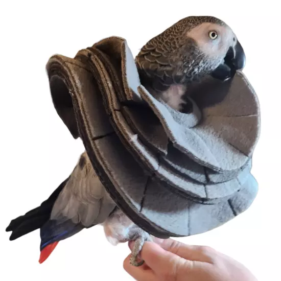 Soft Bird Collar for Congo African Grey Parrots - For Picking/Plucking Birds