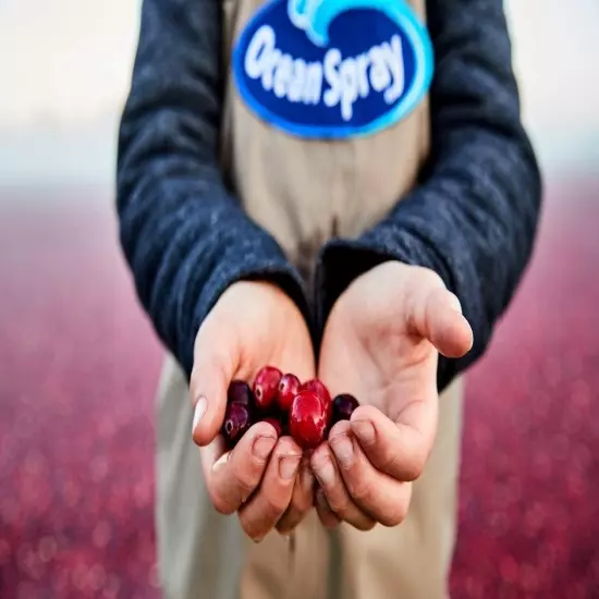 (6 Pack) Ocean Spray Cranberry Raspberry Energy Juice Drink with Vitamins, 10 Oz