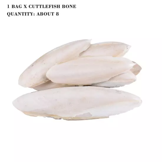 1 Bag Cuttlebone Cuttlefish Bone Sepia Cuttle Fish Pickstone Bird us Food 2024