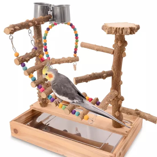 Bird Playground, Bird Perch Play Stand, Bird Conure Parakeets Parrots Cockati...