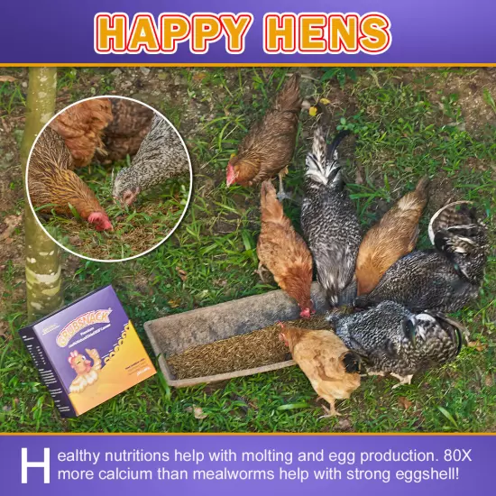 Worms Dried BSF Mealworms for Wild Birds Food Chickens Hen Treats Cheap Bulk