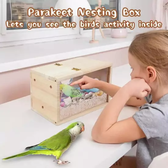 Transparent Bird Breeding Box Parrot Parakeet & Cockatiel Nesting House Supplies