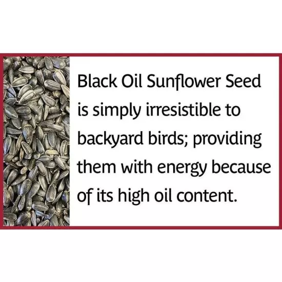 Pennington Select Black Oil Sunflower Seed Dry Wild Bird Feed, 40 lb. Bag 1 Pack