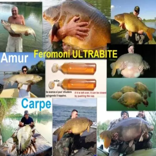 10 Vials CARP FISHING & AMUR 50 ml of attractant XFACTOR Ultrabite pheromones