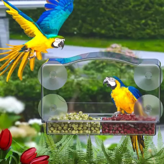 Parrot Clear Acrylic Bird Cage Food Isolation Design Suction Bird Feeder Feeding