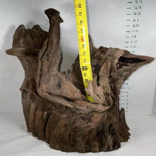 Driftwood Taxidermy Beach Lake Mountain House Wedding 22.5” Tall 12” Wide Heavy