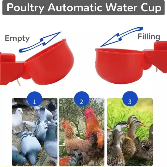 Automatic Cups Chicken Water Cup Bowl Feeder Drinker Waterer Poultry Chook Bird