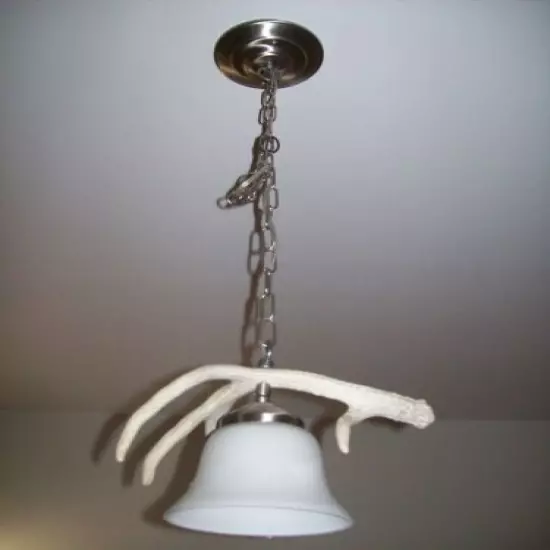  WHITETAIL DEER/ELK/MOOSE ANTLER/SHED/HORN CEILING PENDANT LIGHT/LAMP/LIGHTS #3