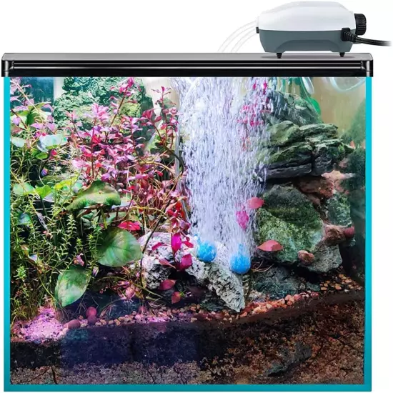 Dual Outlet Aquarium Electric Air Pump, Whisper Adjustable Fish Tank Aerator, Qu