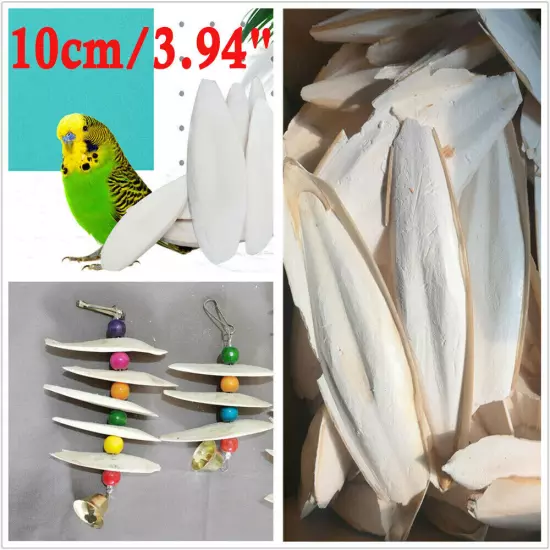 10-20X Large 10CM 3.94" Cuttlebone For Bird Parrots Cuddle Bone W/Box Cuttlebone