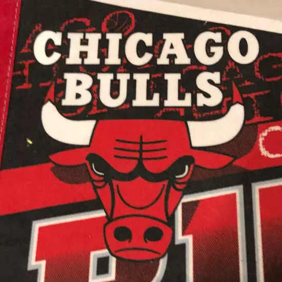 VINTAGE Chicago Bulls 1990's Full Size Wincraft Edition #5 Pennant Jordan Puppen