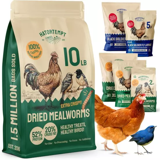 Hatortempt Dried Mealworms 10 lbs Premium Organic Non-GMO for Chickens Feed