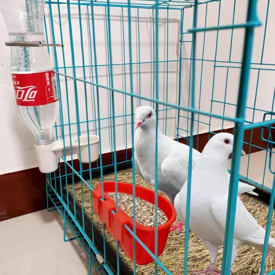 Cage Cups Birds Hanging Feeders Seed Feeding Cups Dish Pigeon Water Bottle Feede