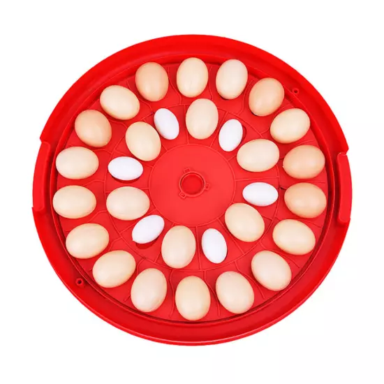 30-Egg Digital Incubator Chicken Quail Hatcher Incubators for Hatching Eggs 110V