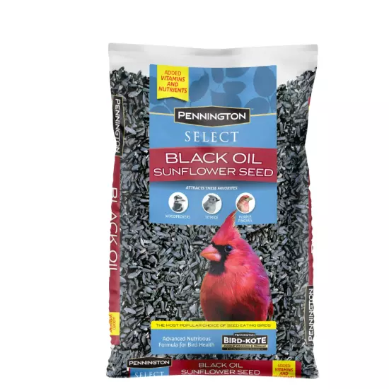 Pennington Select Black Oil Sunflower Seed Dry Wild Bird Feed, 10 lb. Bag, 1 Pac