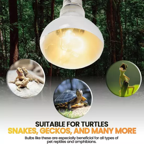 4-Pack Reptile Heat Lamp Bulbs 50W UVA Daylight Basking Light Bulbs for Reptiles