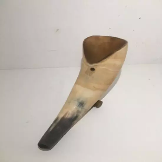 Vintage Old Cow Bull Horn 8 inches With Stand