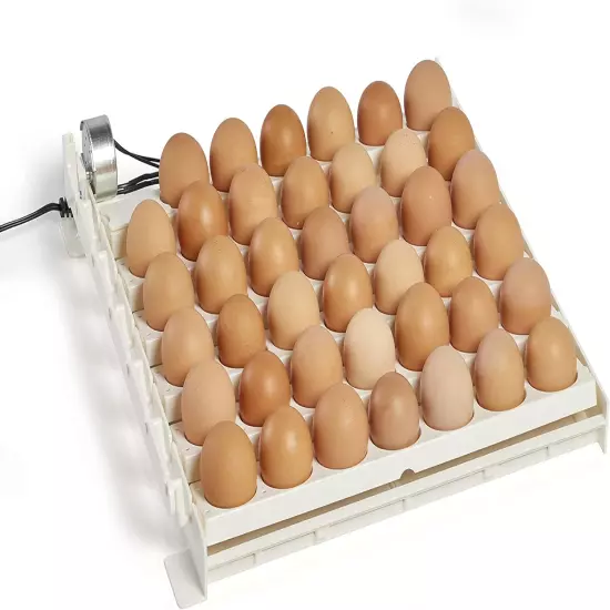 3200 Automatic 41 Spot Egg Turner, Eliminate Manual Handling & Improve Hatching