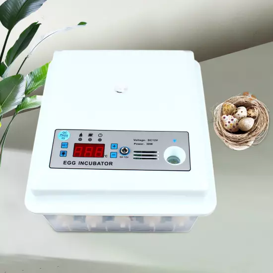 16 Eggs Incubator Digital Automatic Turner Hatcher Chicken Temperature Control